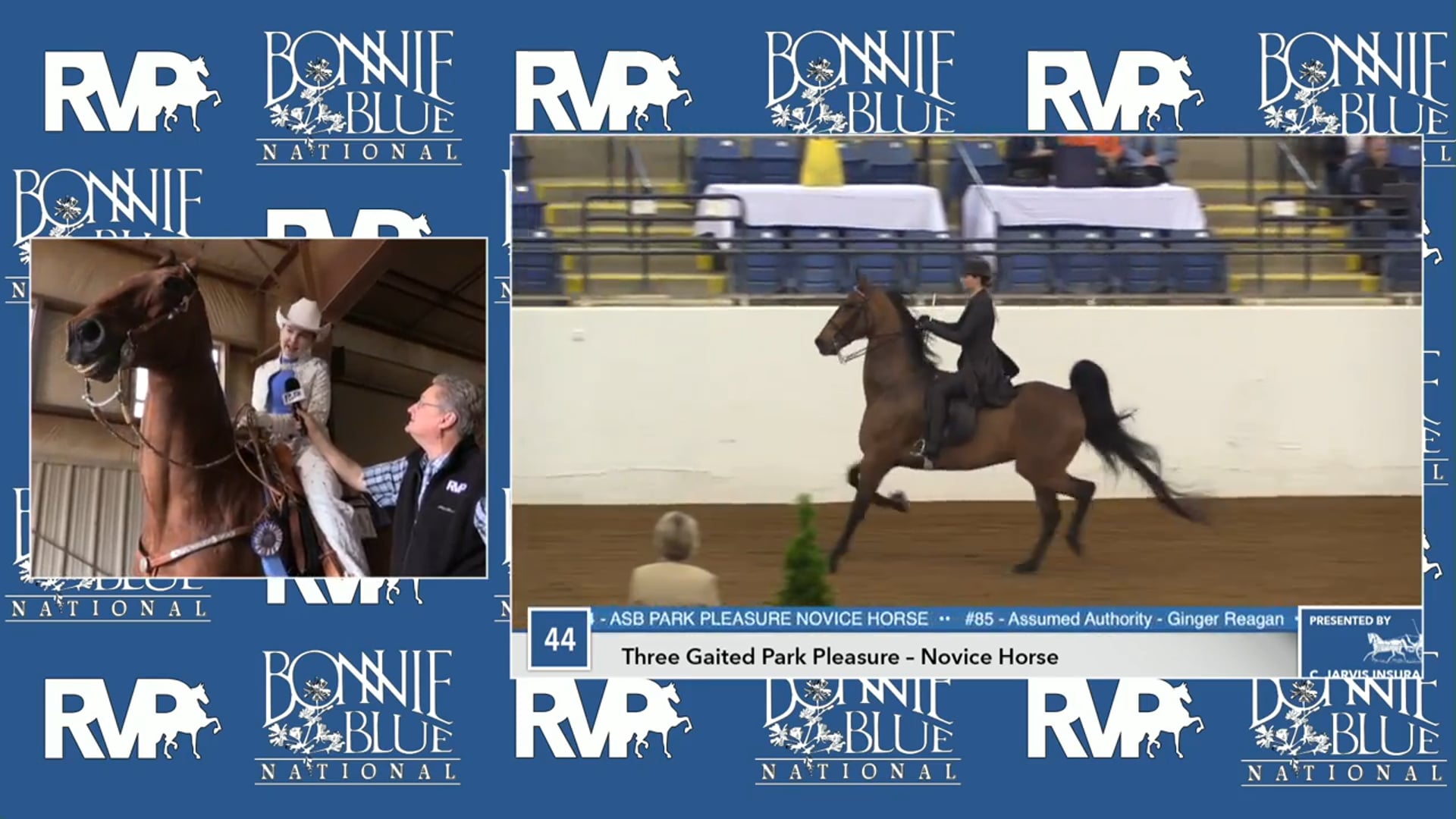 BB17 - Moutainview's Supreme Ruler