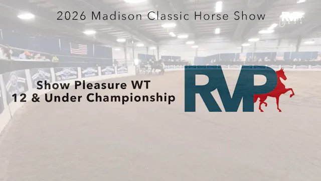 MC26 - Class 112 - Hackney Pony Jackpot