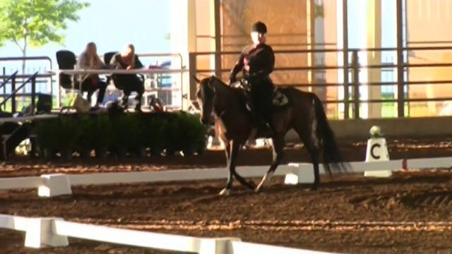 MGN16 - Sport Horse 2 - First Saturda...