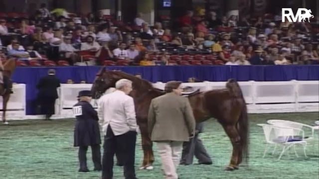 2007 WCHS Class 186 Junior Exhibitor ...