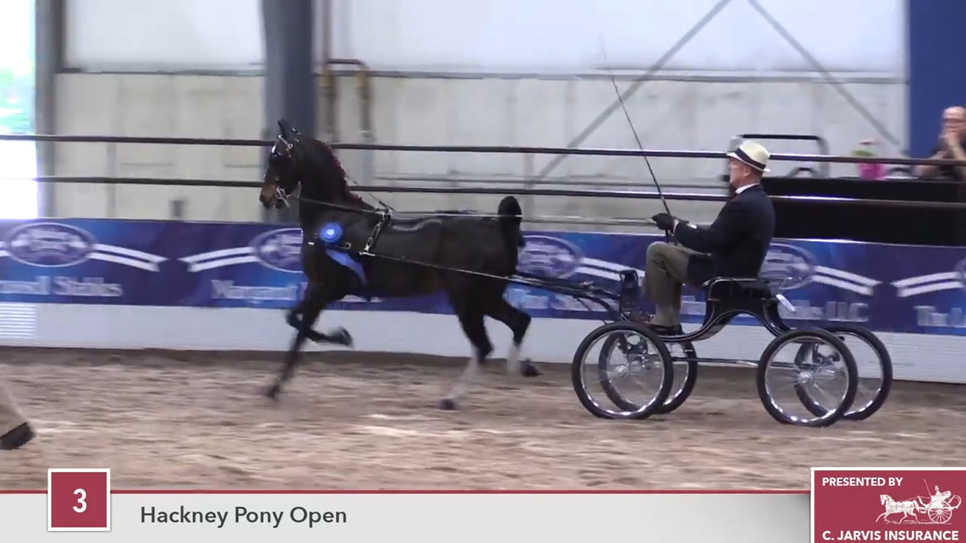 MC16 - Tommy Hilfiger