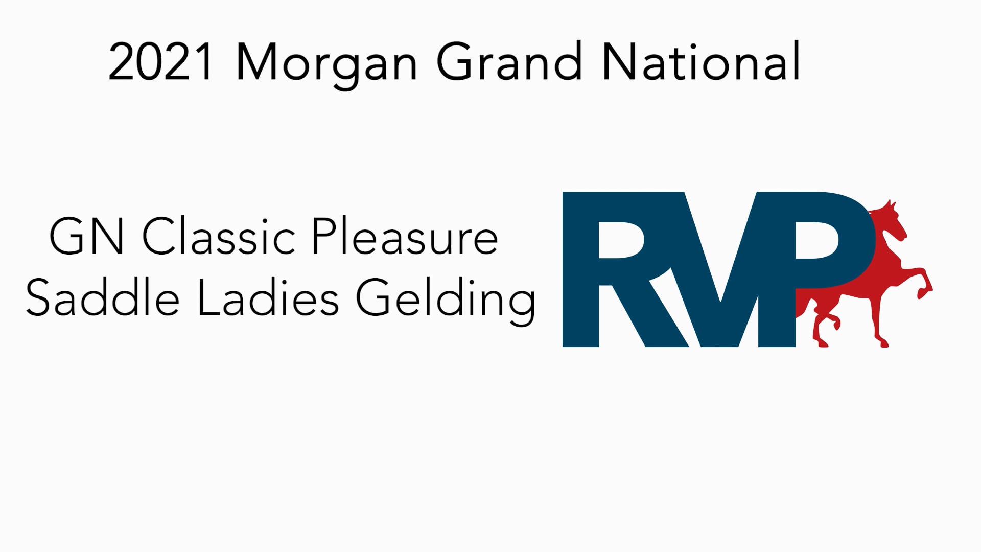 MGN21 - Class 359 - GN Classic Pleasure Saddle Ladies Gelding