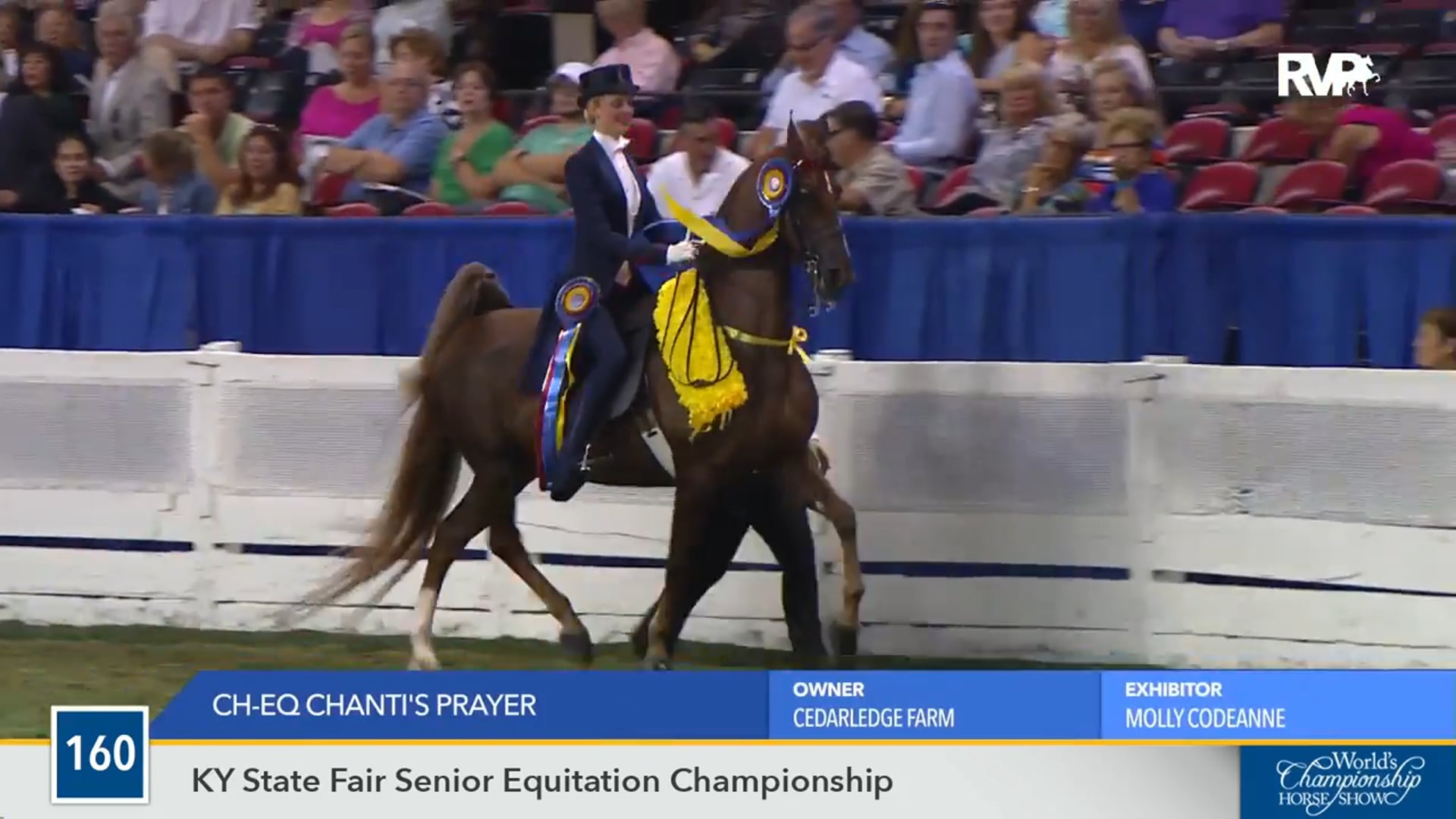 WCHS16 - CH EQ Chanti's Prayer - Championship
