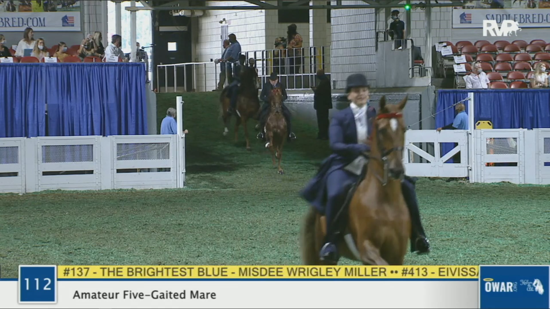 WCHS 2020 Class 112 - Amateur Five-Gaited Mare