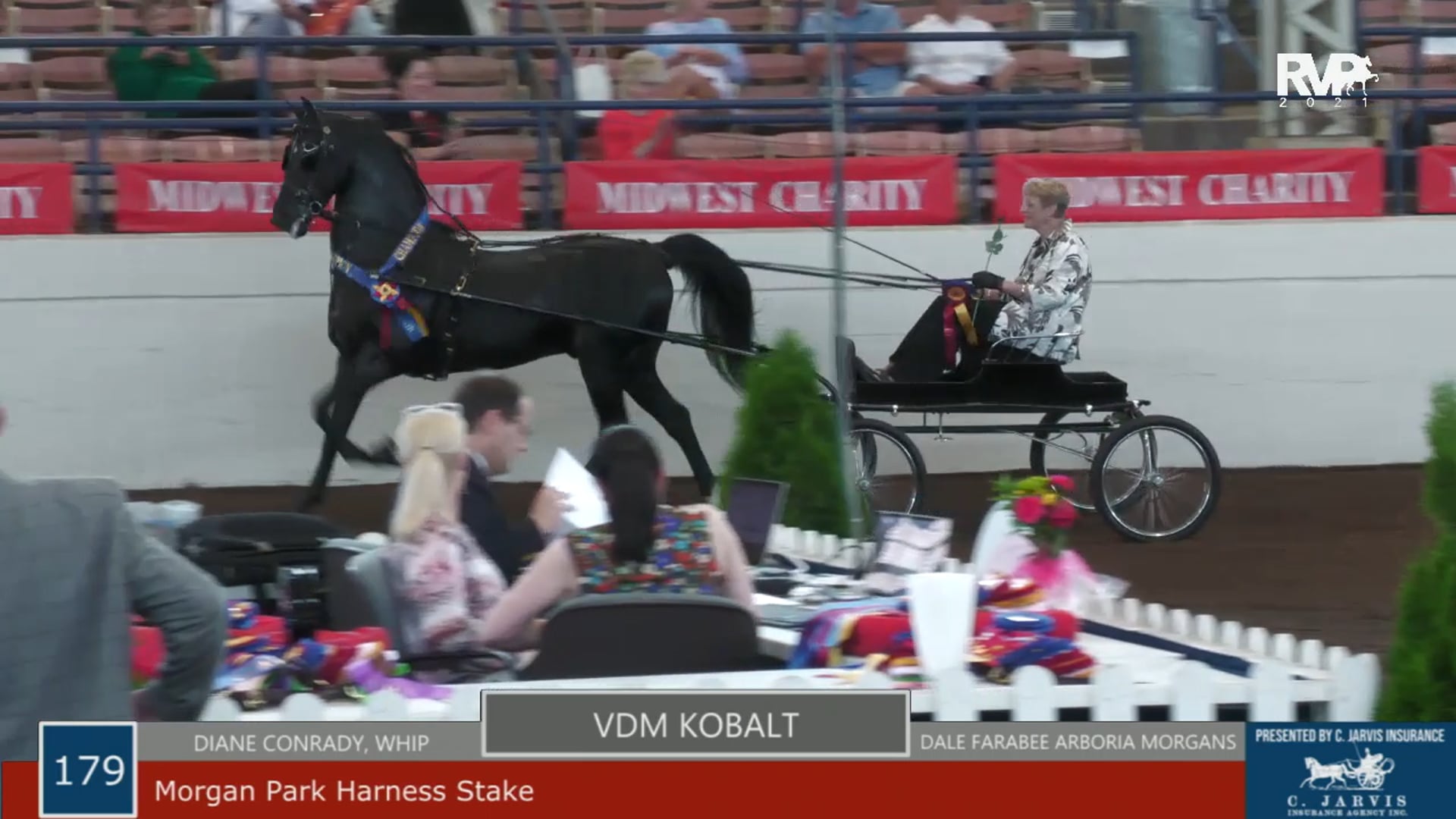 MW21 - Class 179 - VDM Kobalt and Diane Conrady, whip