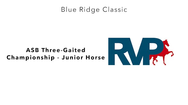 BR24 - Class 156.2 - ASB Three-Gaited...