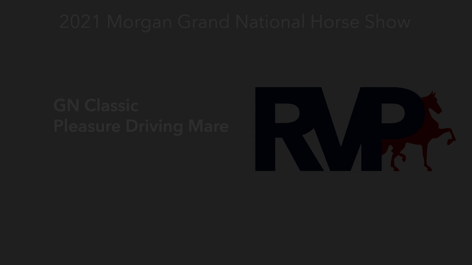 MGN21 - Class 128 - GN Classic Pleasure Driving Mare