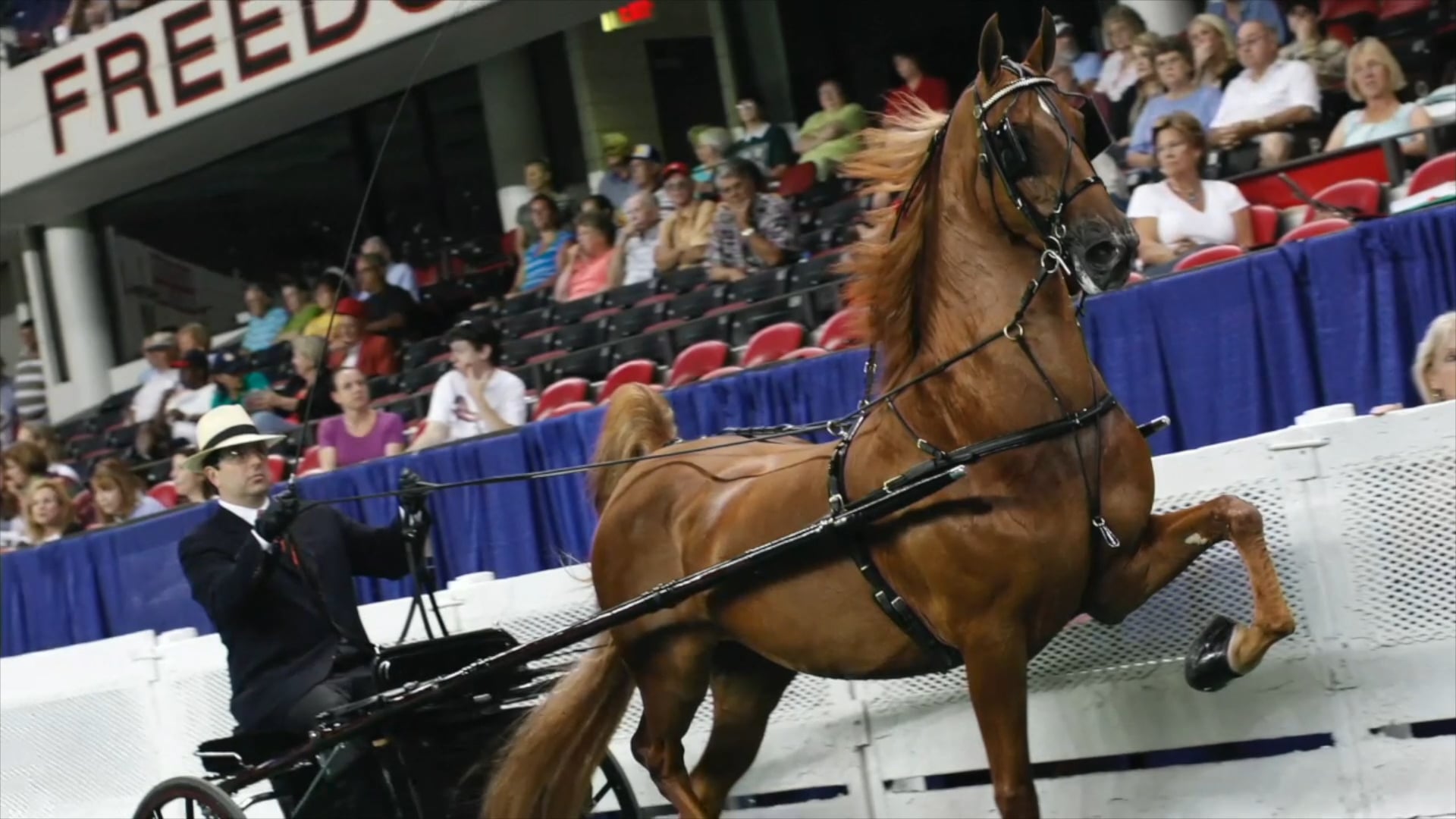 Ceil and Kenny Wheeler - ASHA Sportsmanship Awards