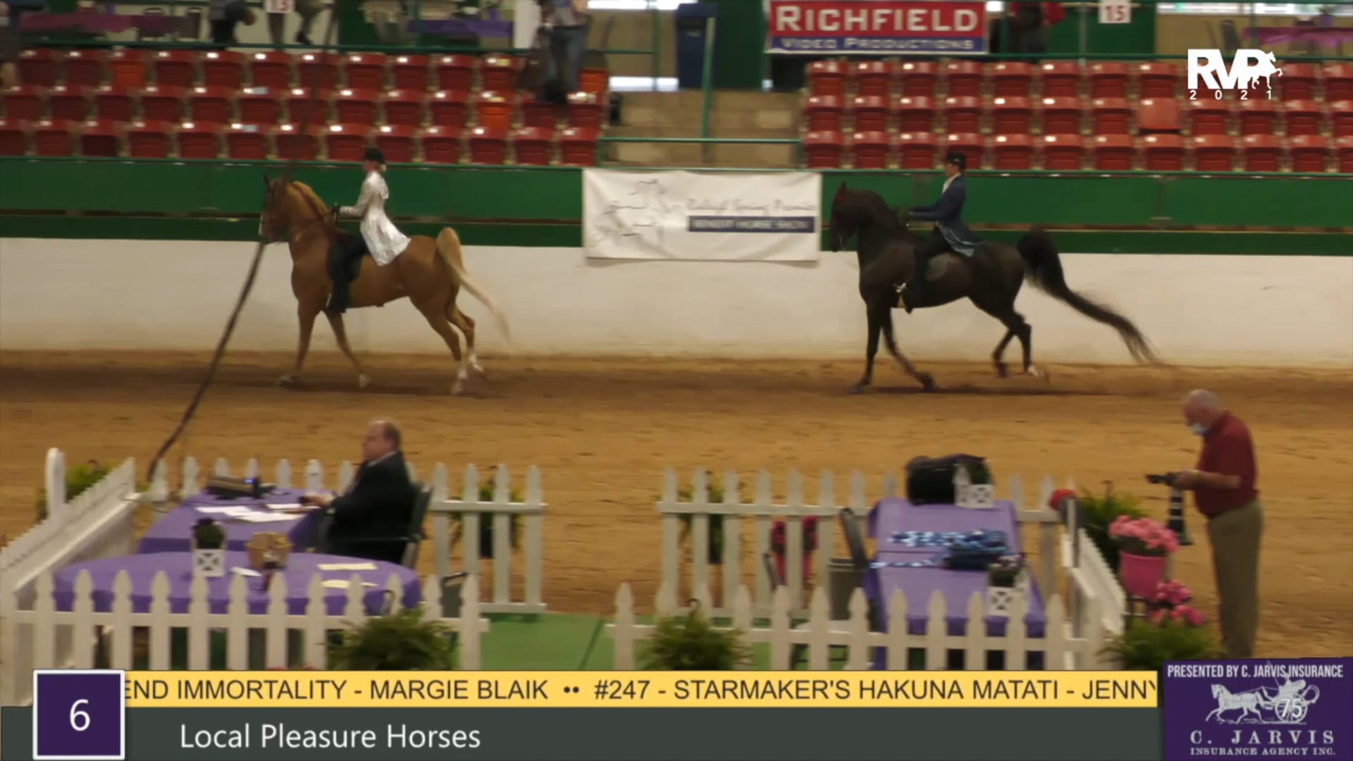 RSP21 - Class 6 - Local Pleasure Horses