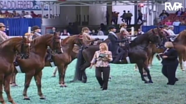 2009 World's Championship Horse Show ...