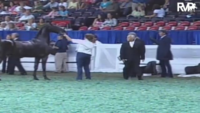 2009 World's Championship Horse Show ...