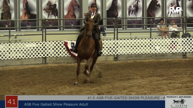 AAC22 - Class 41 -  ASB Five Gaited S...