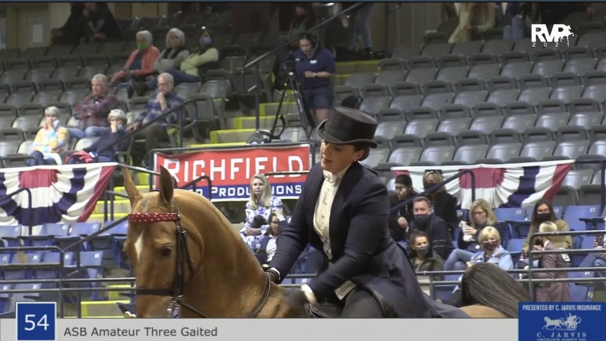 BB21 - Class 54 - ASB Amateur Three Gaited 