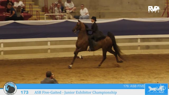 BR24 - Class 173 - ASB Five-Gaited - ...