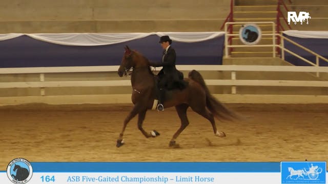 BR24 - Class 164 - ASB Five-Gaited Ch...