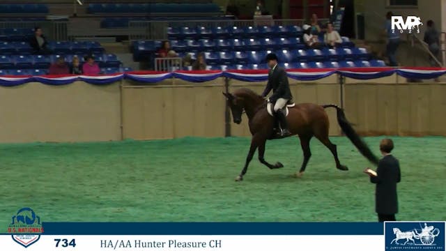 AN25 - Class 734b - HA-AA Hunter Plea...