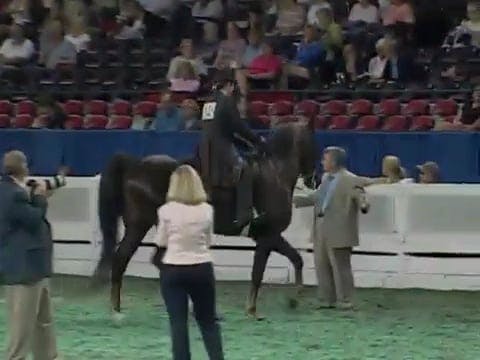 2008 WCHS Class 111 Junior Exhbitor 1...