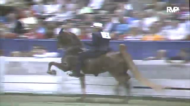 1991 WCHS Class 115 Three Gaited Over...