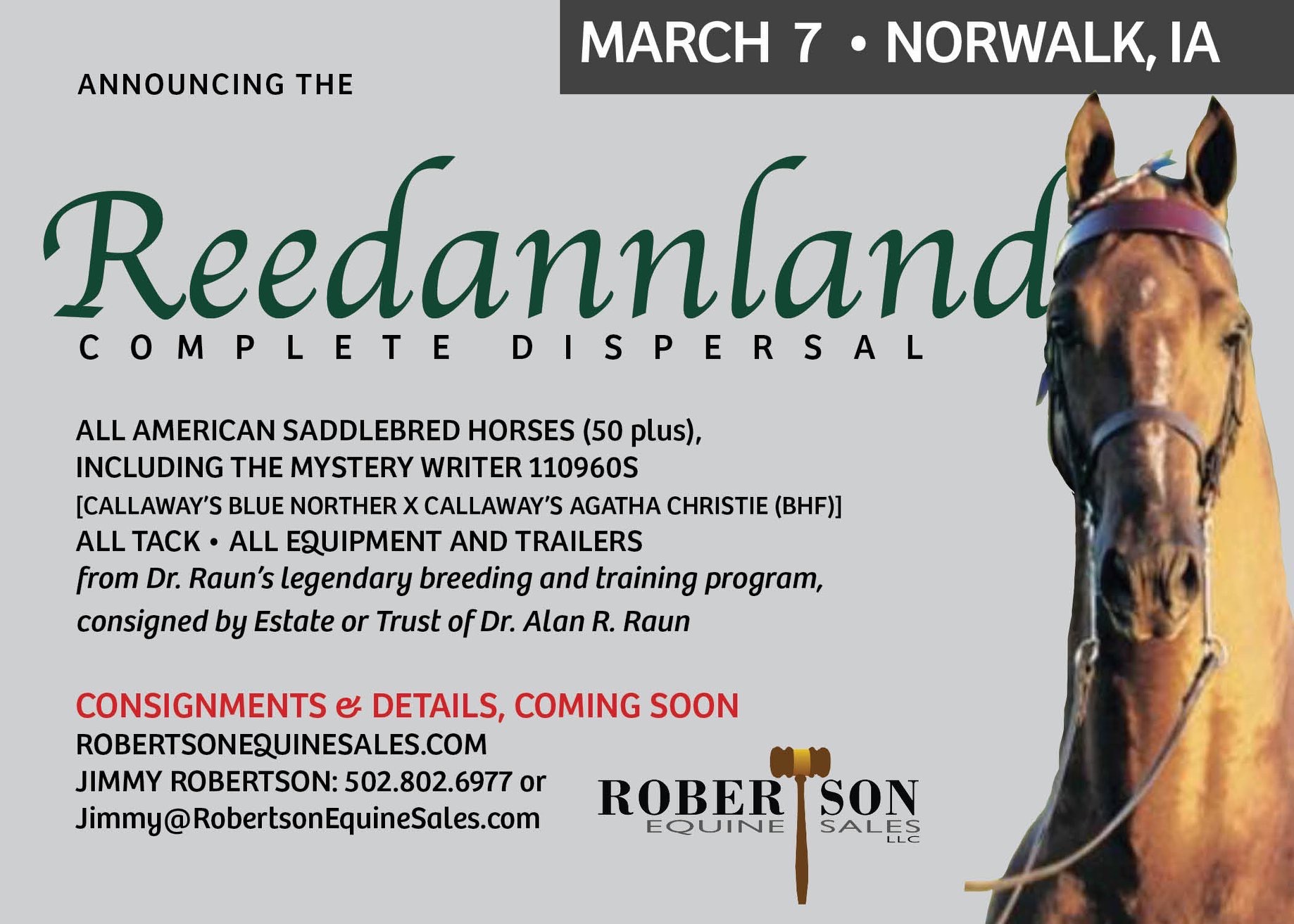 Reedann's Golden Boy 