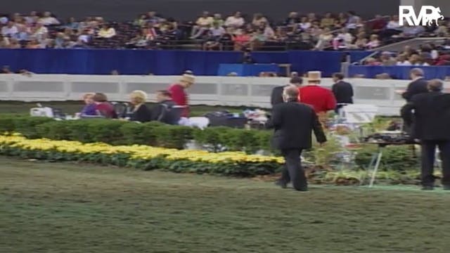 2004 World's Championship Horse Show ...