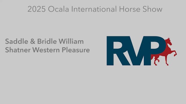 OI25 - Class 73 - Saddle & Bridle Wil...