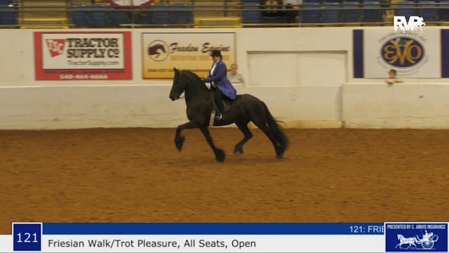 BB23 - Class 121 - Friesian Walk-Trot...