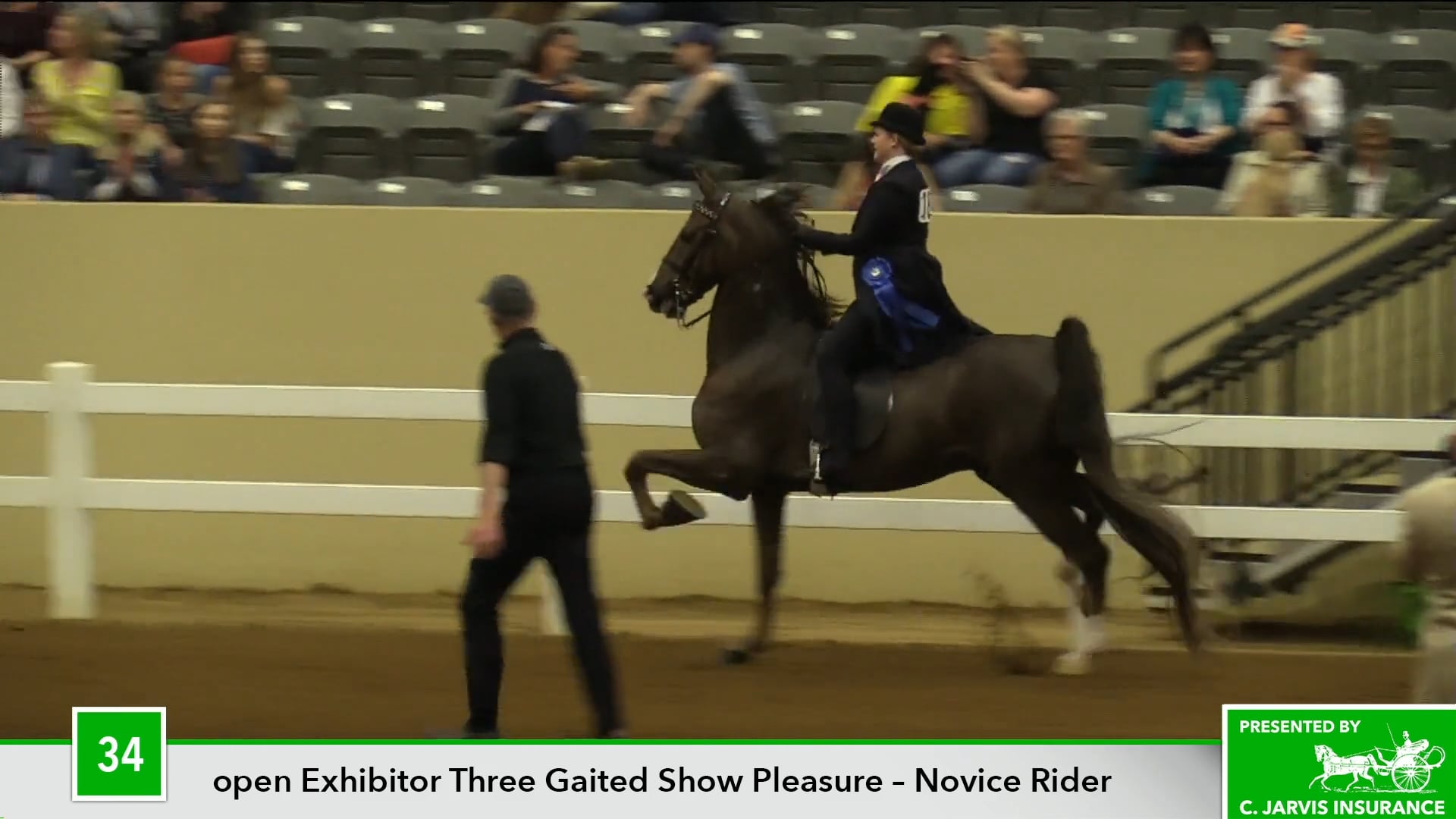 KYSP18 - Class 34 - Undulata's Corleone ERB