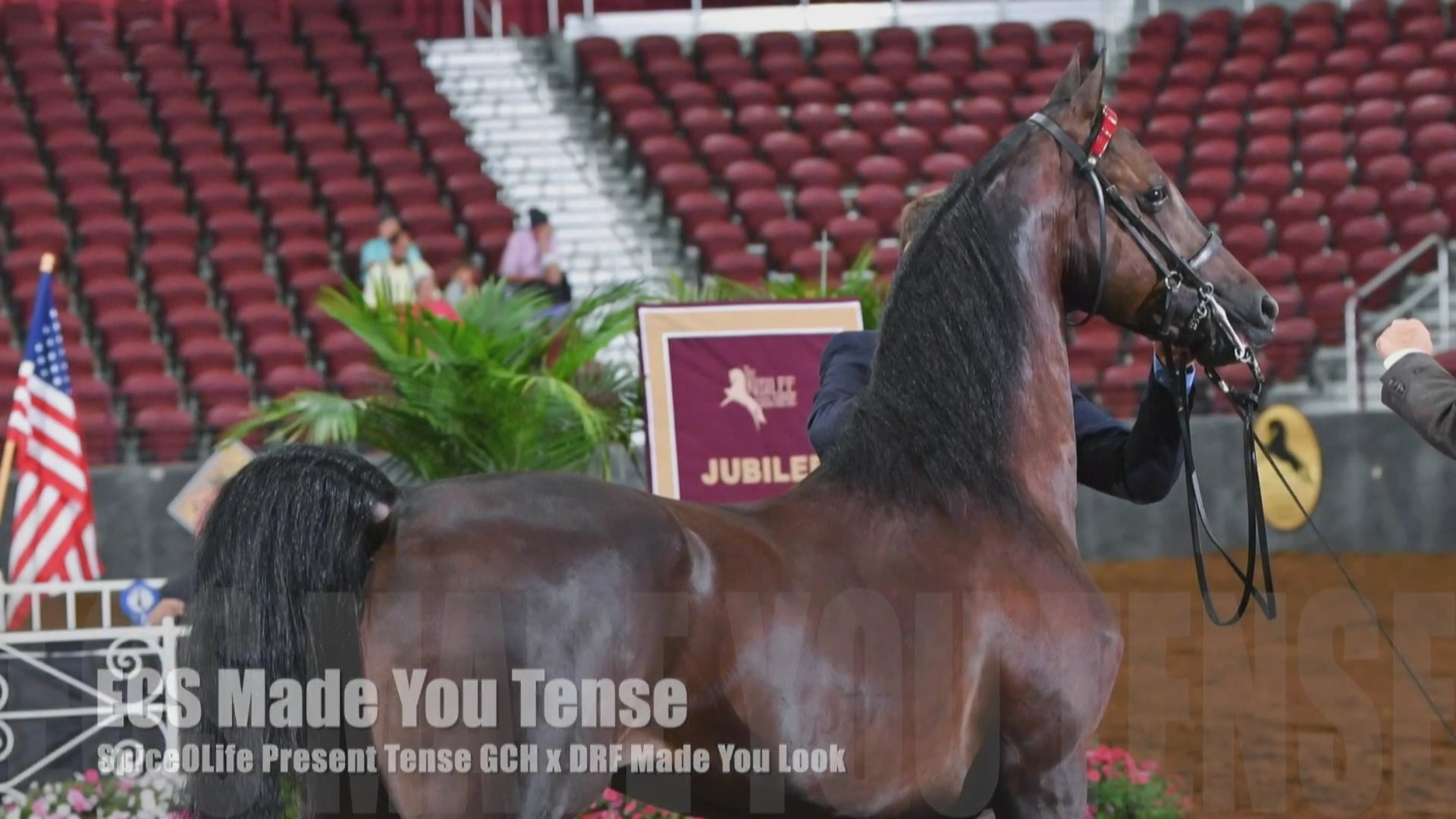 2019 Morgan Grand National - Coliseum - Sunday Morning