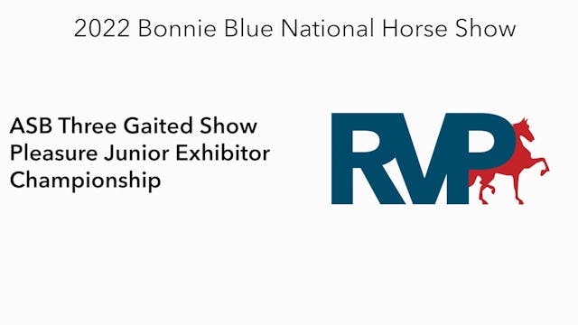 BB22 - Class 158. - ASB Three Gaited ...