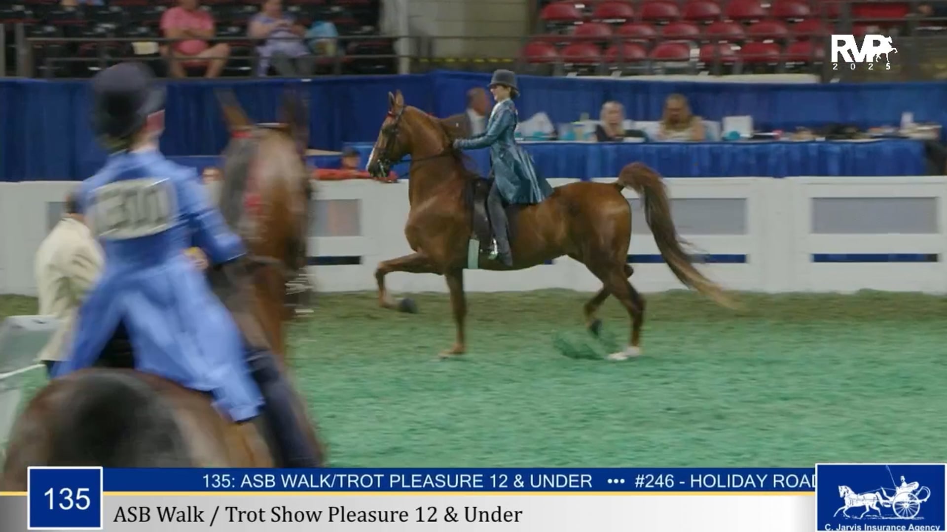 WCHS25 - Class 135 - ASB Walk-Trot Show Pleasure 12 & Under