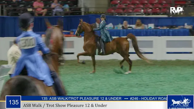 WCHS25 - Class 135 - ASB Walk-Trot Sh...
