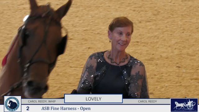 ASF25 - Wednesday Evening Recap