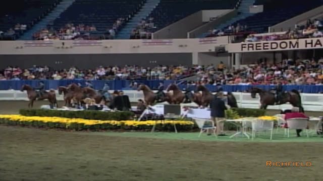 2002 WCHS Class 190 KSF Junior Saddle...