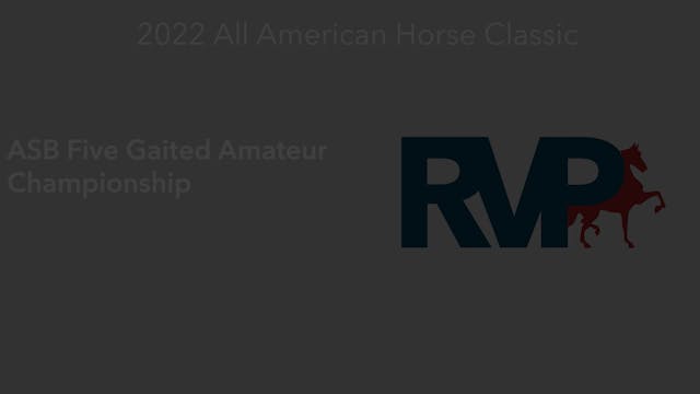 AAC22 - Class 163 -  ASB Five Gaited ...