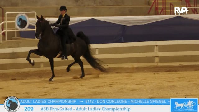 BR24 - Class 209 - ASB Five-Gaited - ...