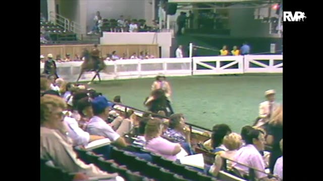 1988 WCHS Class 96 Ladies Five Gaited...