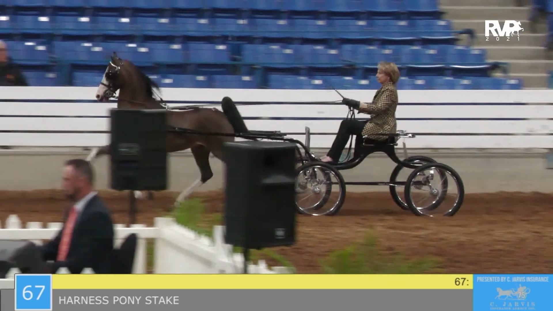 SSSF21 - Class 67 - Harness Pony Stake