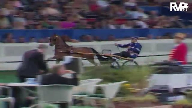 2004 World's Championship Horse Show ...