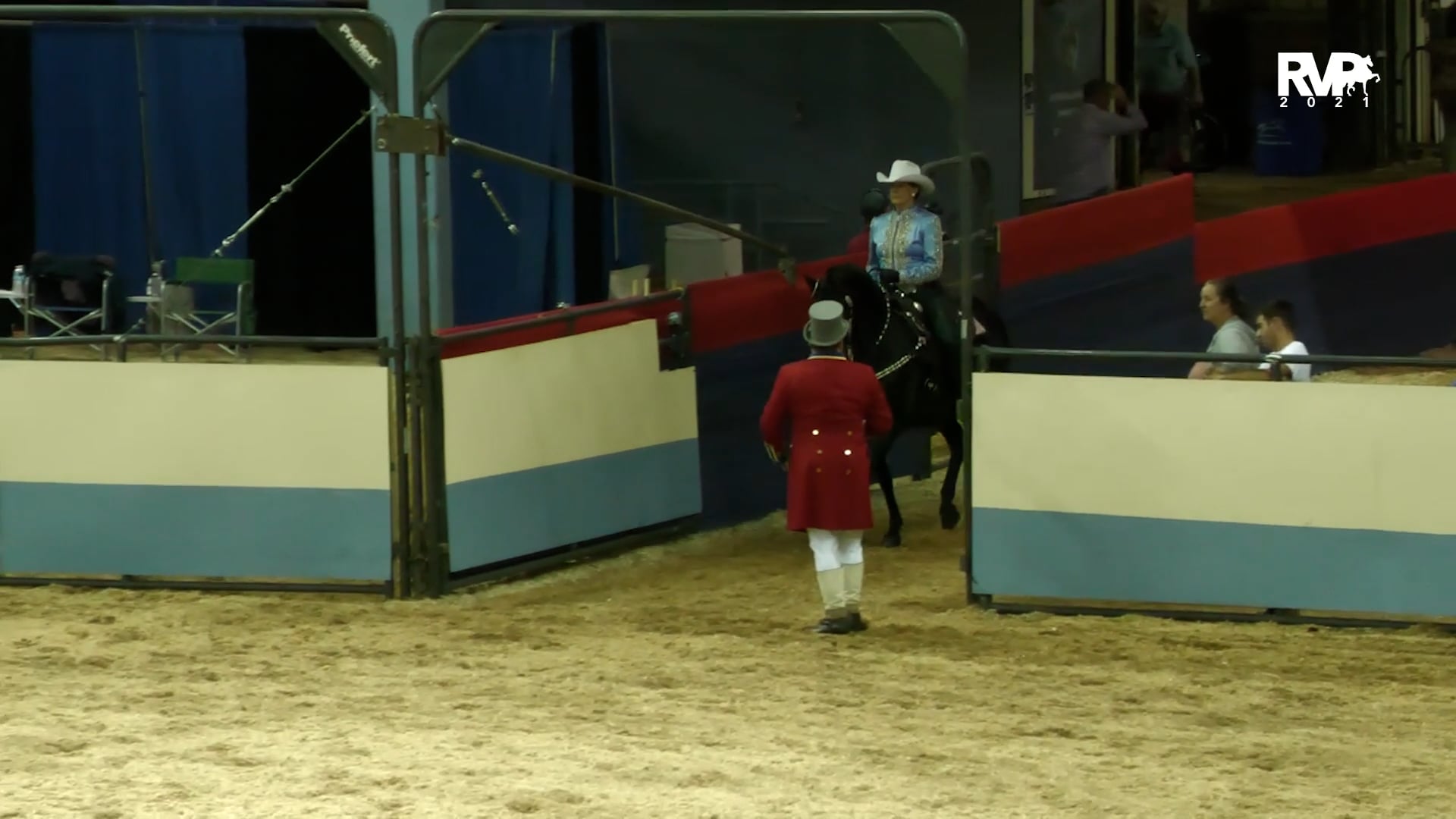 MGN21 - Class 125 - GN Western Pleasure Ladies Mare