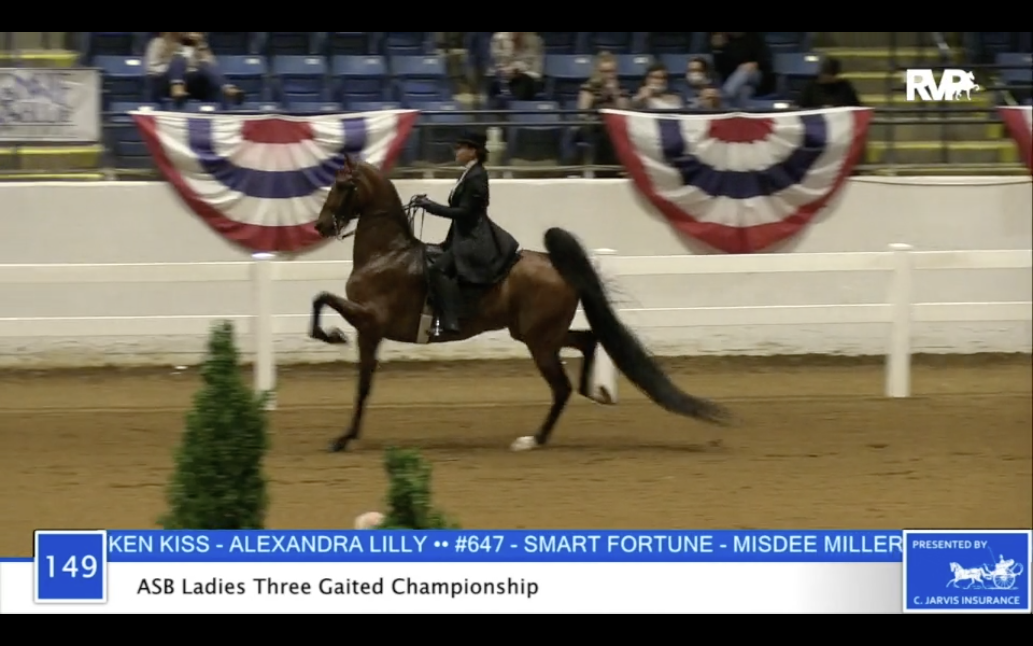 2020 BB - Class 149 ASB Ladies Three Gaited 
Championship