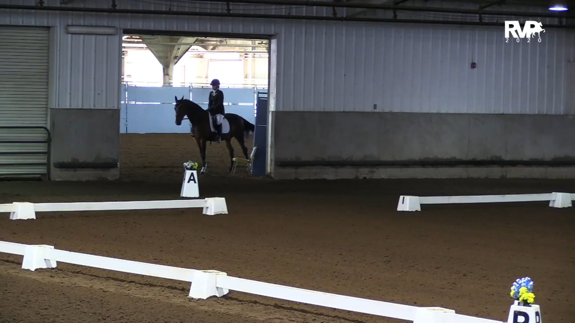 2020 MGN - 10:11 - Sunday Morning - Barn 8 Arena - Part 2 of 2