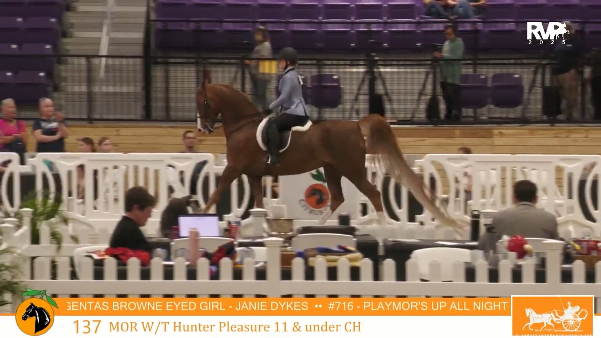 CC25 - Class 137 - Morgan W-T Hunter Pleasure 11 & Under CH