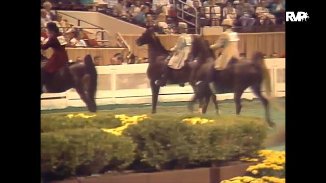 1989 WCHS Class 34 Ladies Five Gaited...