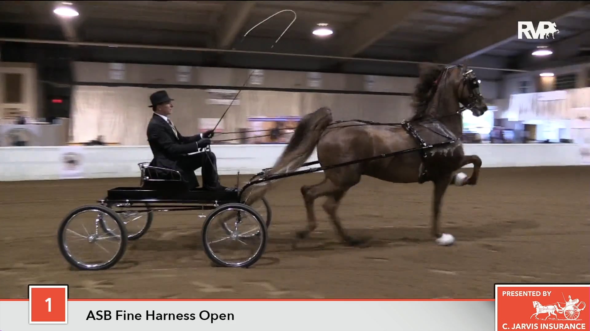 GASP18 -  Class 1 - Night With Ringo