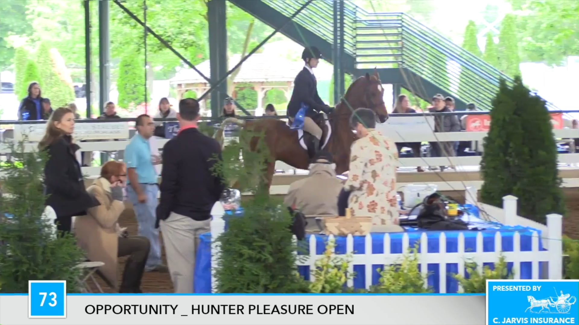 DC17 - Cloverleaf Heir To Freedom