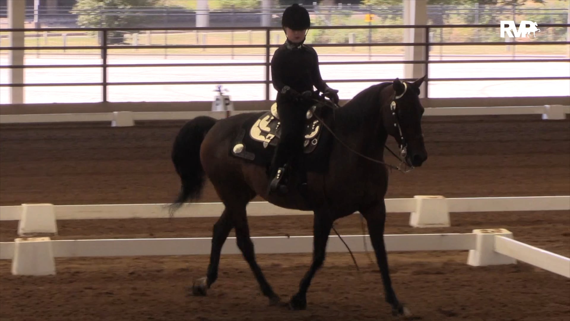 2020 MGN - Class 602 GN Western Dressage Introductory Level Test 1 AmateurJunior Exhibitor