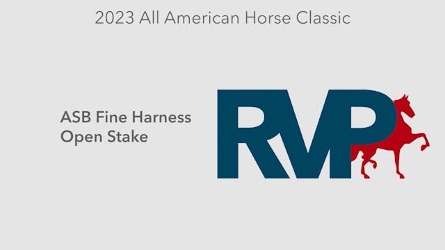 AAC23 - Class 131 - ASB Fine Harness ...