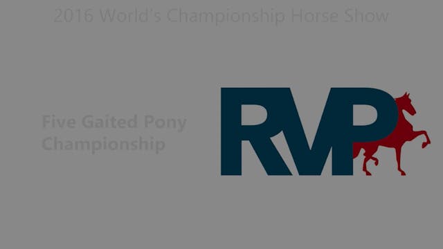 WCHS16 - Class 200 - Five Gaited Pony...
