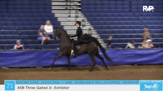GASP23 - Class 71 - ASB Three Gaited ...