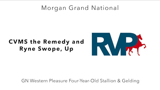 MGN23 - Class 98 - CVMS the Remedy an...